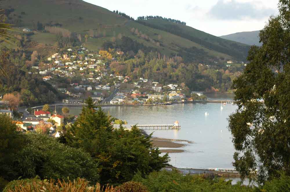 205 - Nueva Zelanda - Akaroa, panoramica
